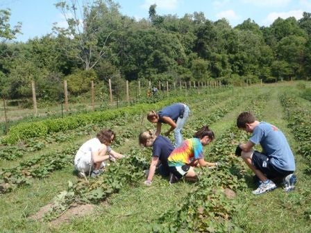 Five CWRU student volunteers working in the fields