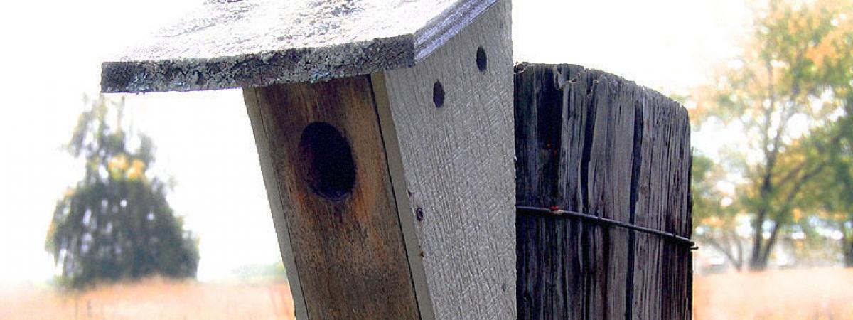 Close up picture of wooden bird feeder in a field