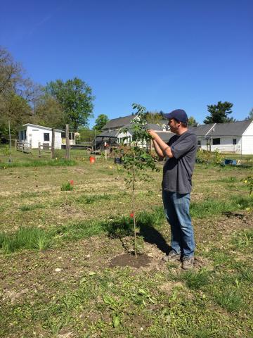 Forest Ecology Research