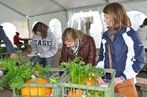 Students in a tented area working with crates of pumkins and root plants