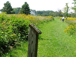 View of Interpretive Trail wooden marker at CWRU Farm