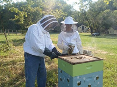 CWRU Faculty and student in beekeeping gear working on a beehive