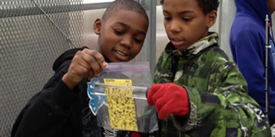 Two young students looking at nature samples at CWRU Farm