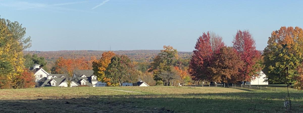 A view of fall foliage and the top of white farm buildings from across a field 