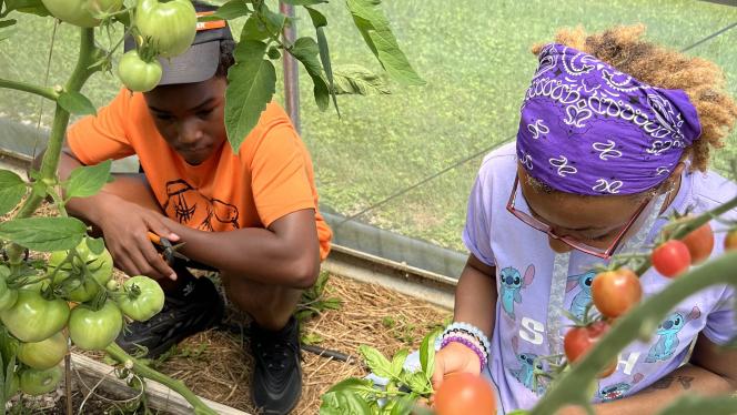 Scholars gardening at the Case Farm