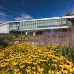 A view of Tinkham Veale University Center in the spring or summer with bright yellow and purple flowers, students passing by, bright blue sky