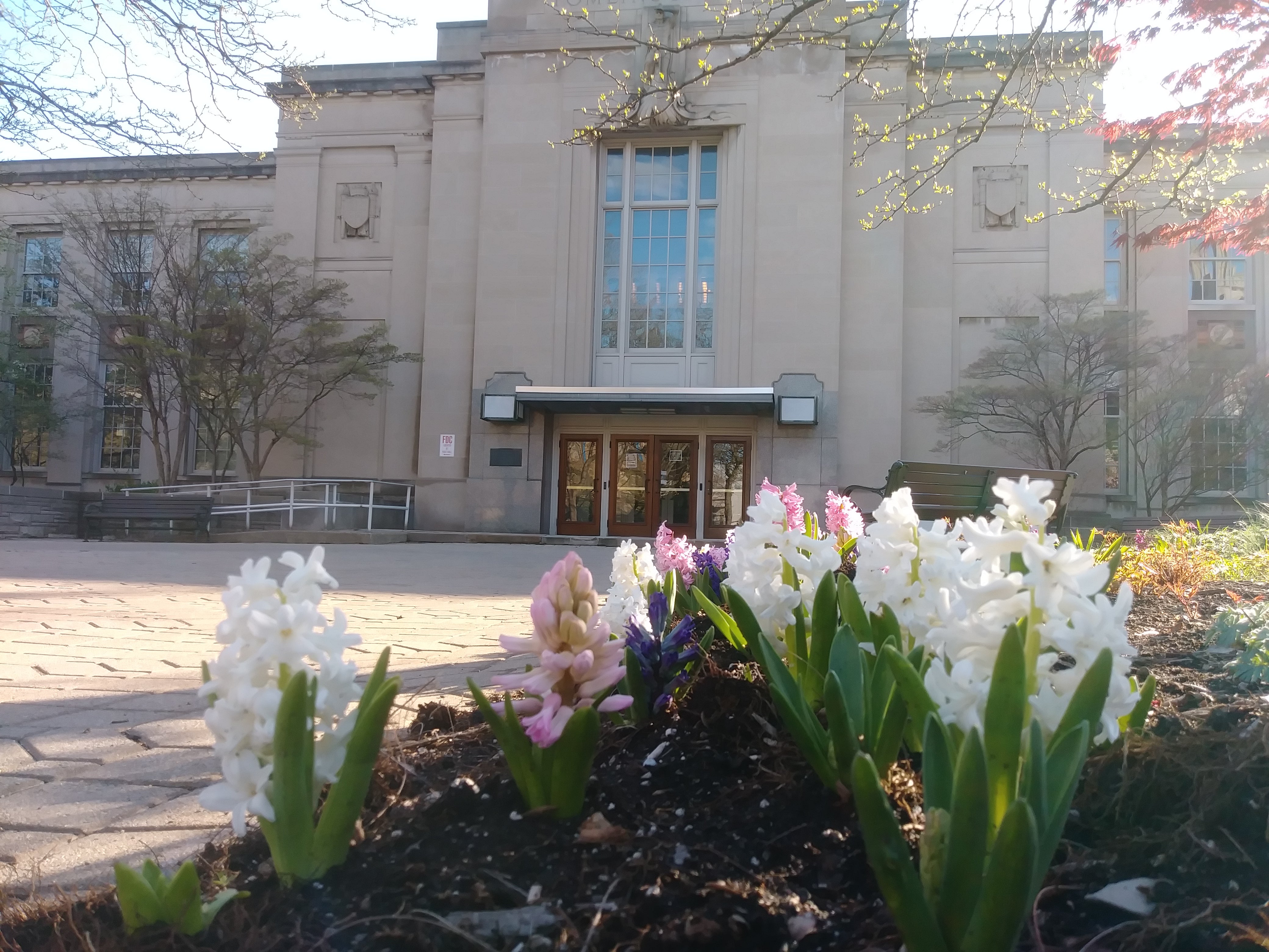 Blooming flowers outside Tomlinson Hall, April 2021