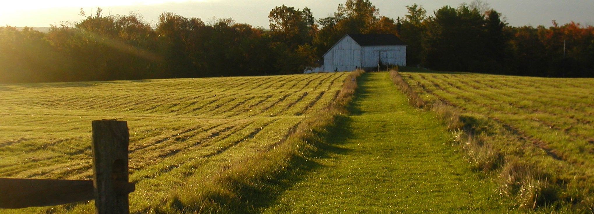 Farmhouse beyond a field on CWRU Squire Valley Farm