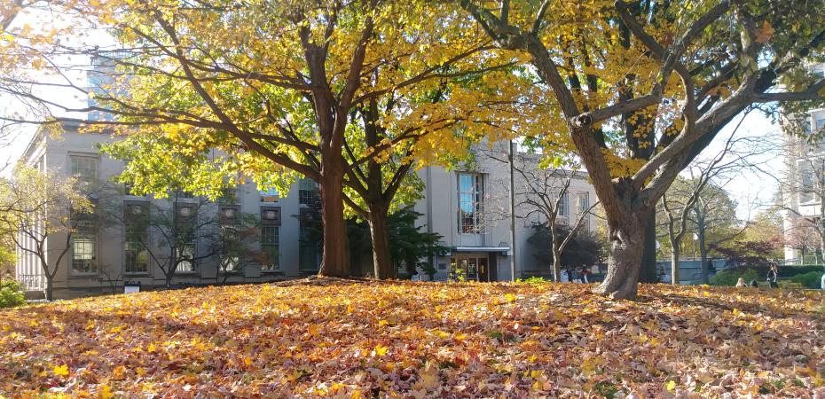 Tomlinson Hall on Main Quad behind colorful autumn leaves November 2021