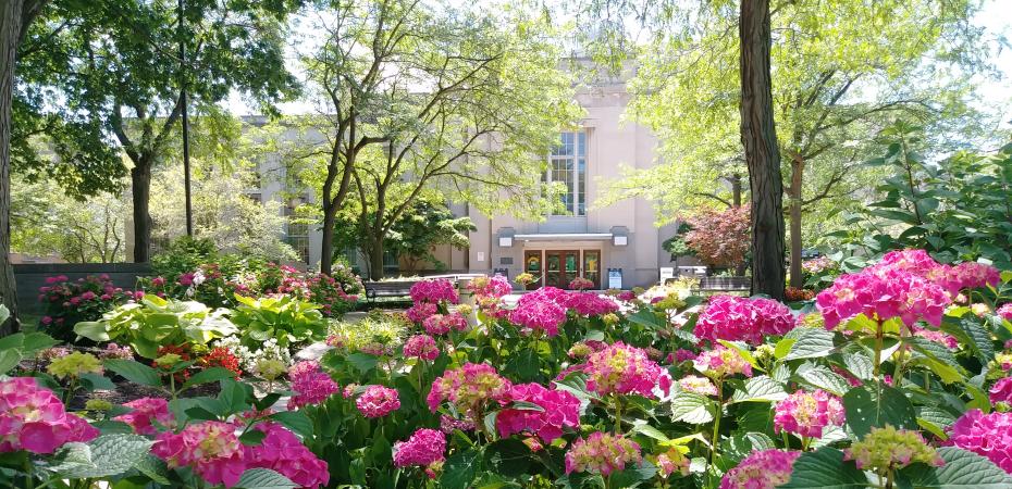 Flowers in front of Tomlinson Hall, Summer 2022