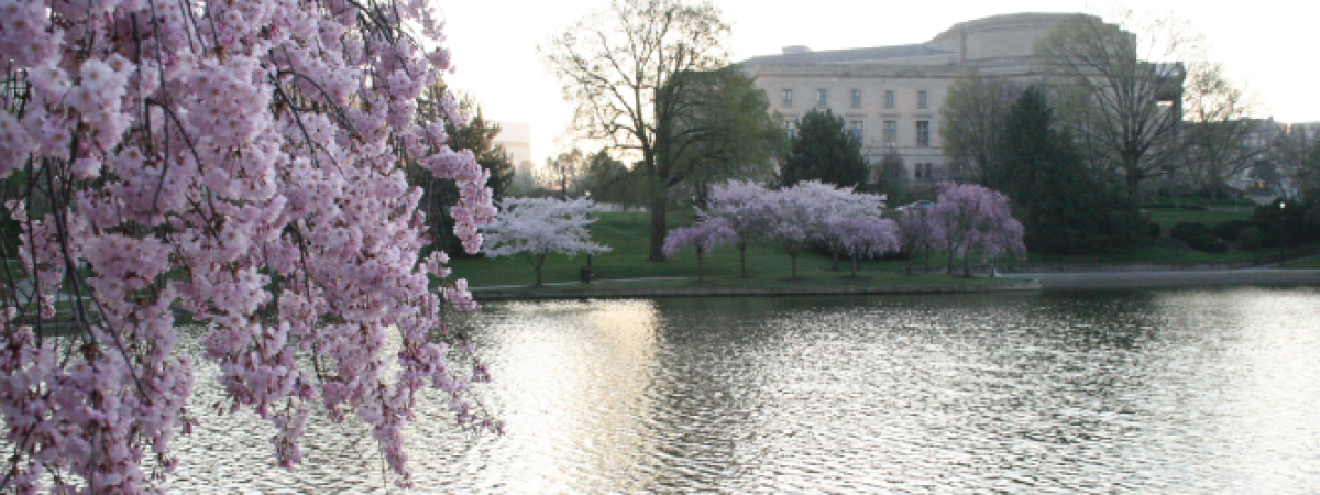Wade Lagoon in Spring 2012 with Severance Orchestra Hall