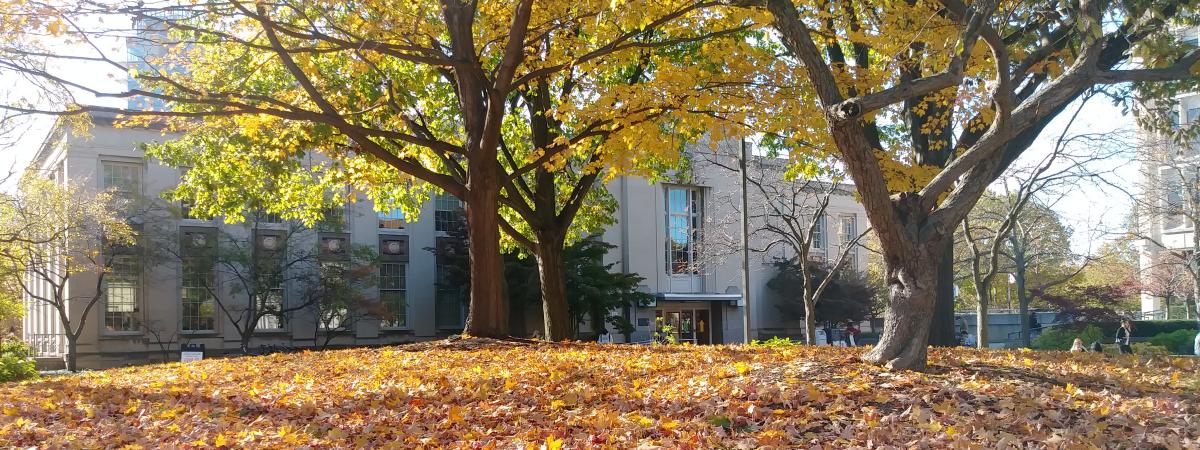 Tomlinson Hall on Main Quad behind colorful autumn leaves November 2021