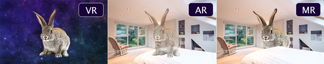 Graphic of a grey rabbit positioned in different simulated environments showing 