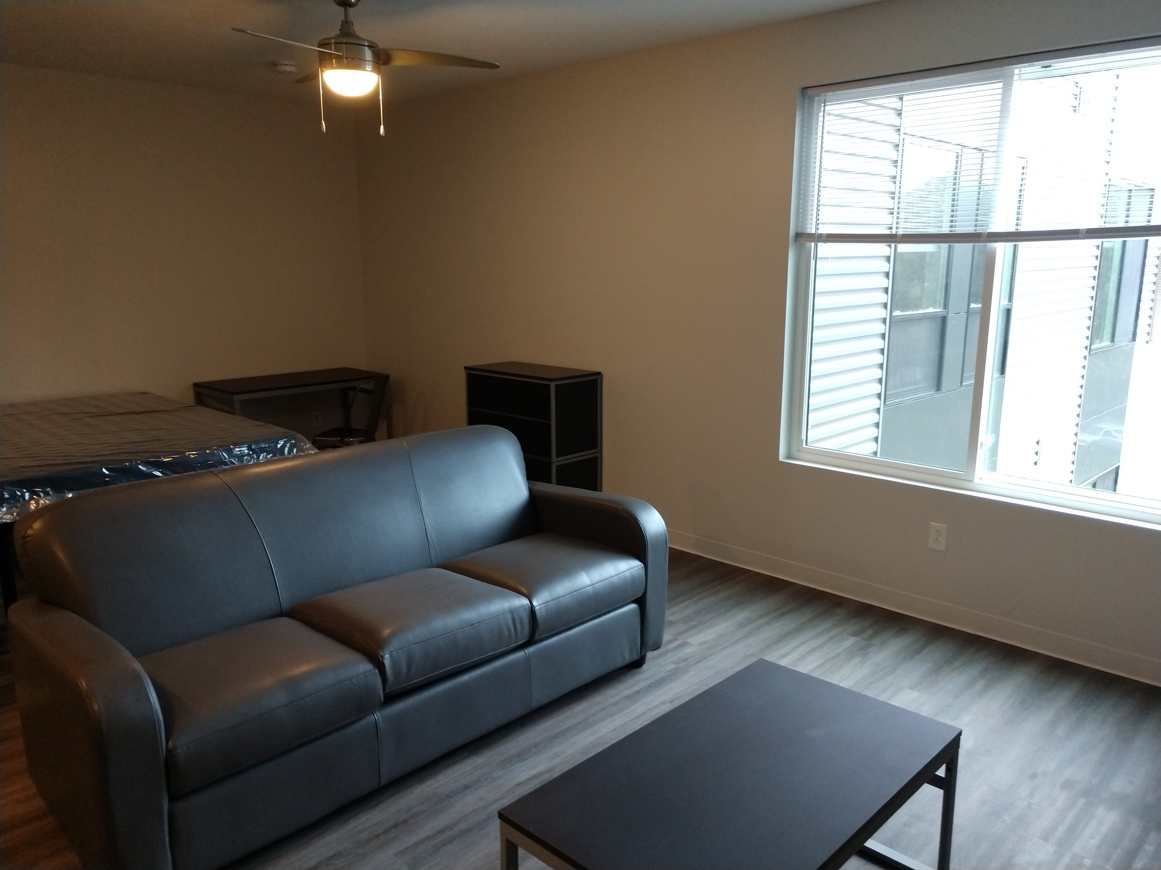 Hazel Studio Apartment Bed, Desk, and Couch