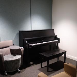 Village House 1 Basement Practice Room with Piano and Furniture