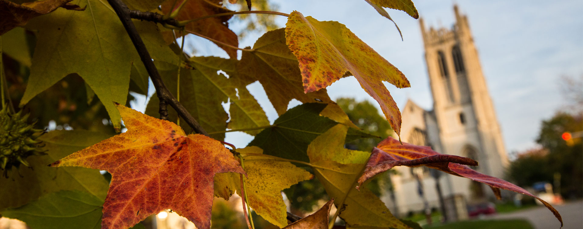 Photo of vibrant fall-colored leaves on a tree with Amasa Stone Chapel visible in the background