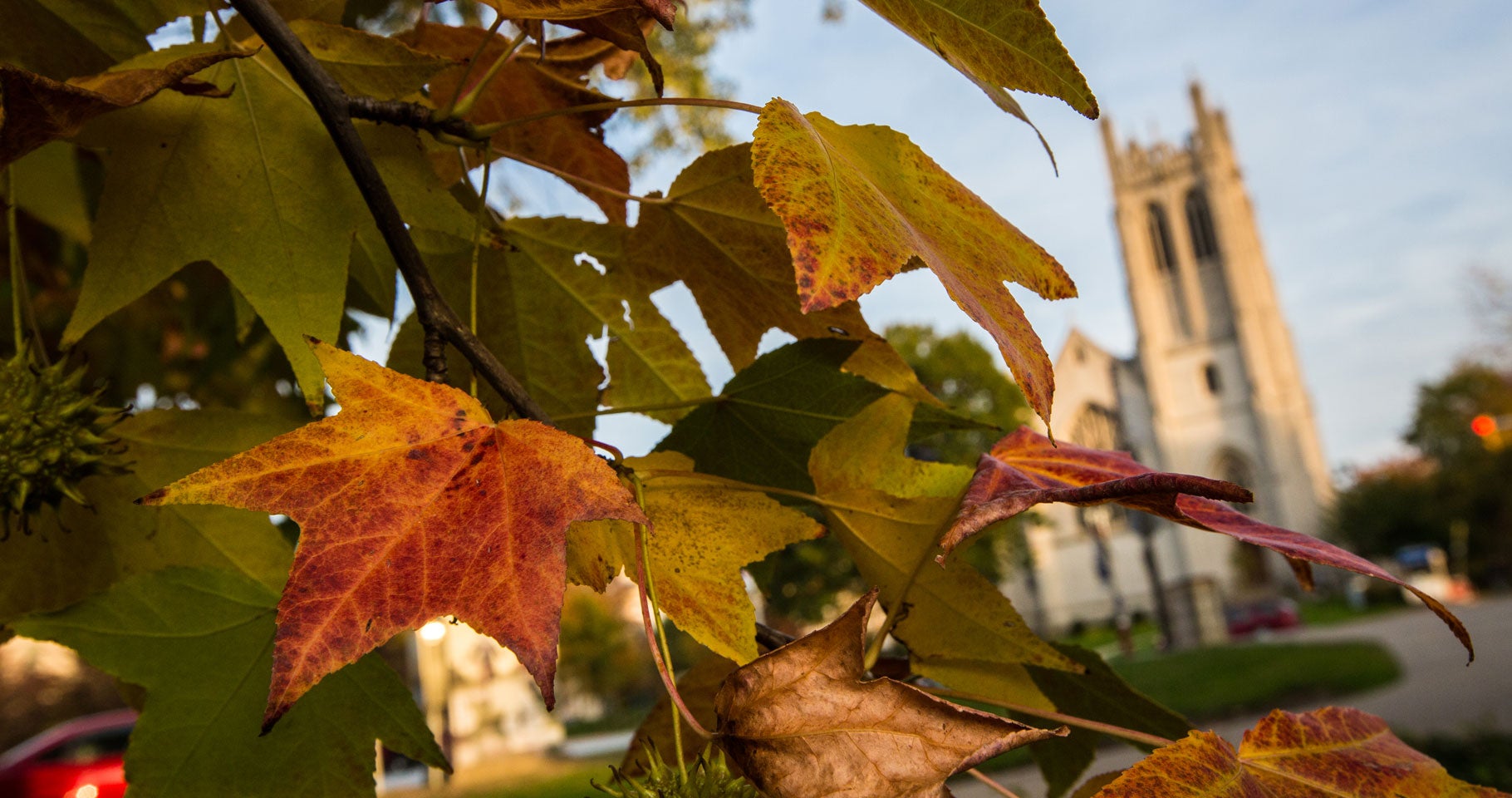 Photo of vibrant fall-colored leaves on a tree with Amasa Stone Chapel visible in the background