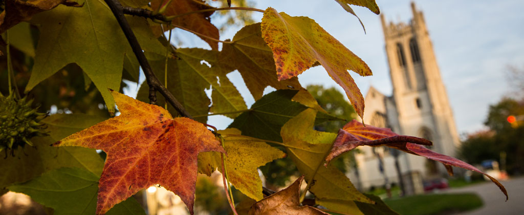 Photo of vibrant fall-colored leaves on a tree with Amasa Stone Chapel visible in the background