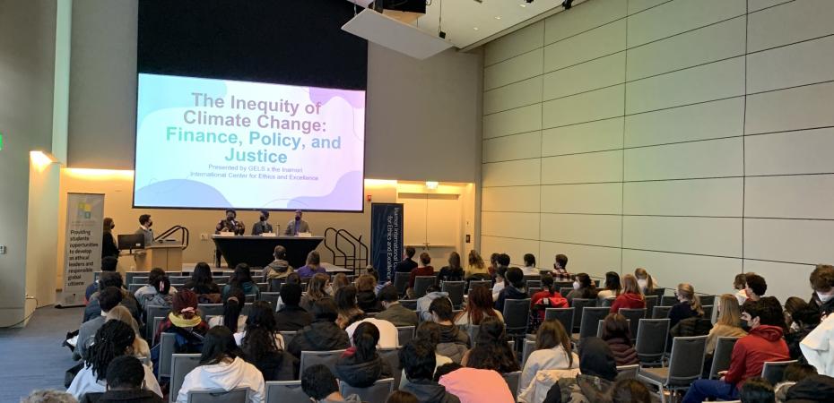 GELS Inequity Panel