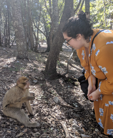 A CWRU student stands facing a monkey in a forest