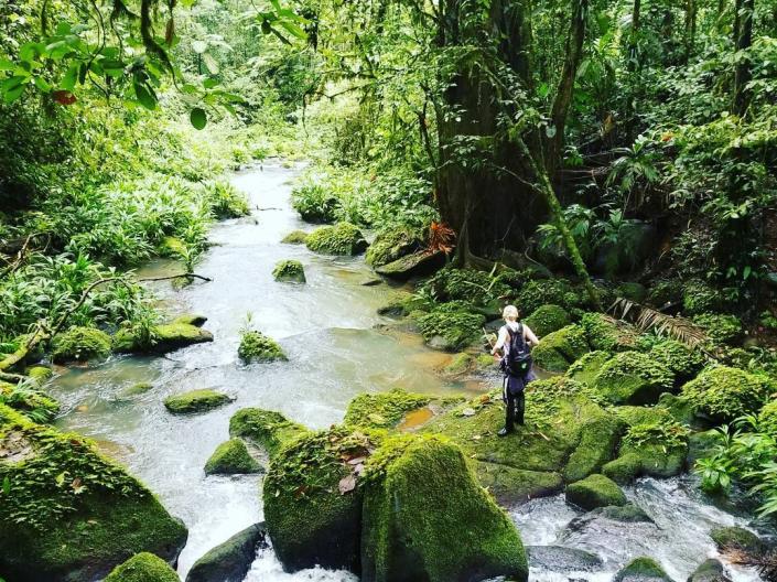 Study Abroad student in Costa Rican jungle scene
