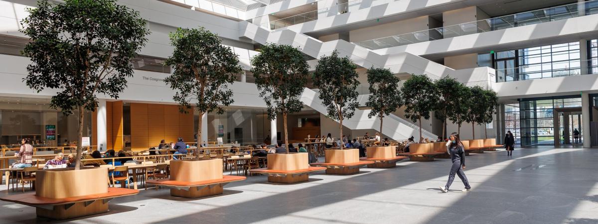 View of trees in Samson Pavilion Courtyard