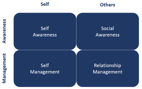 2-by-2 grid showing 4 competencies of Emotional Intelligence. Top row: Self and Social Awareness, bottom row: Self and Relationship Management