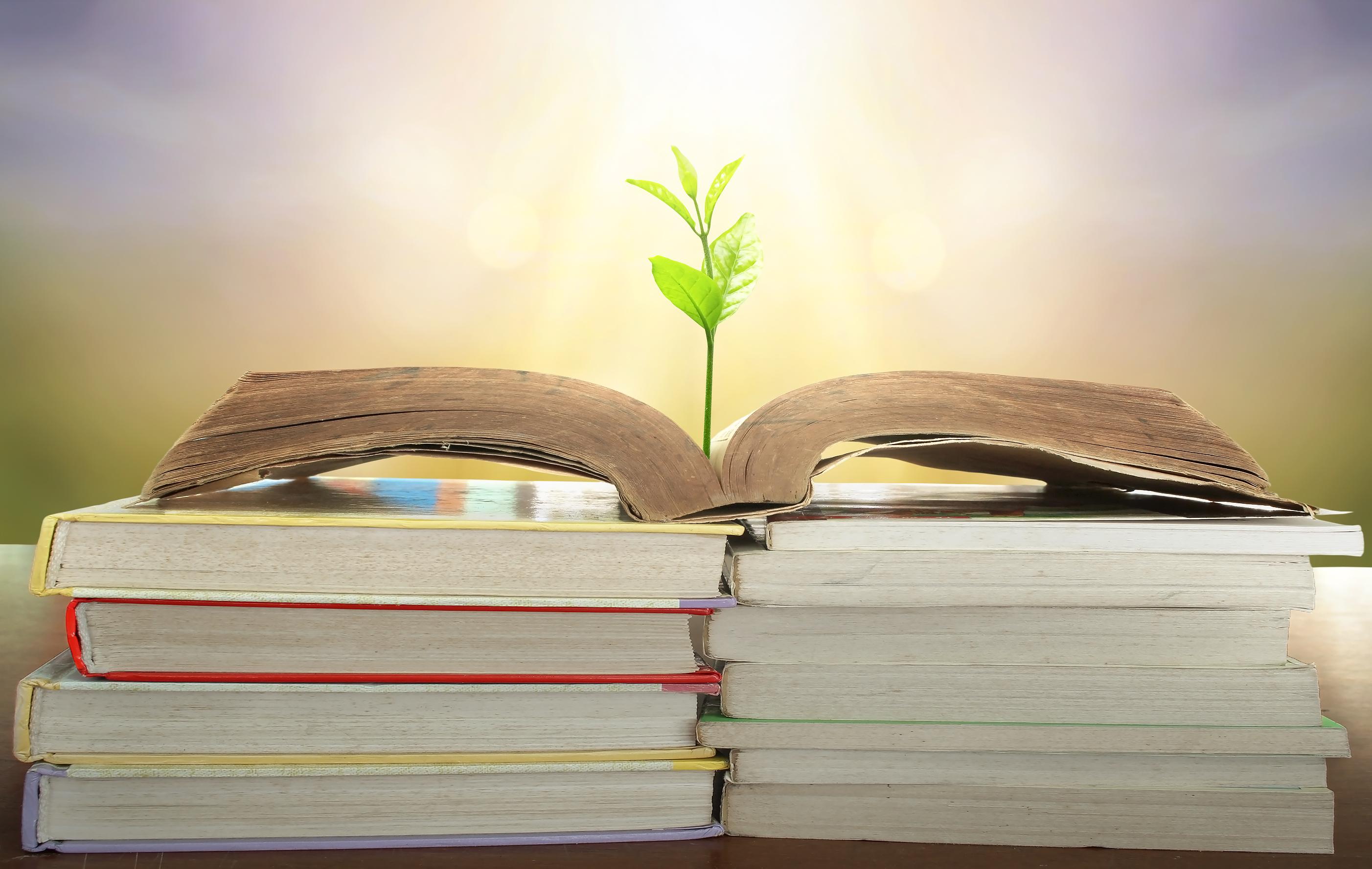 tree on a book