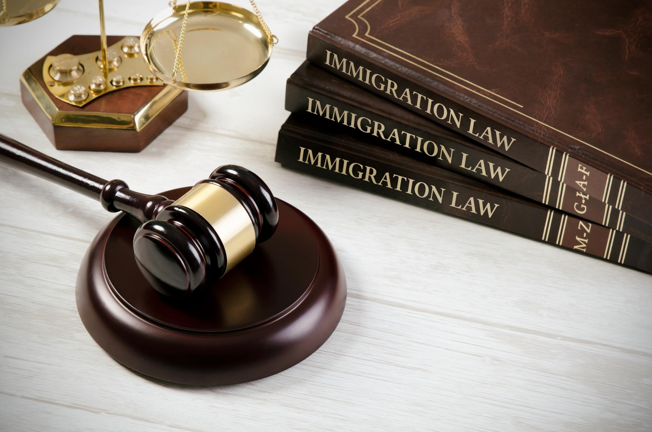 gavel and books that say Immigration Court
