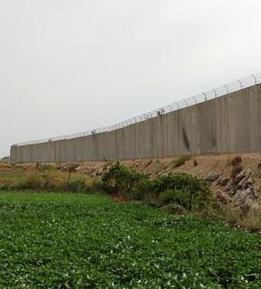 People standing in a field looking at a wall