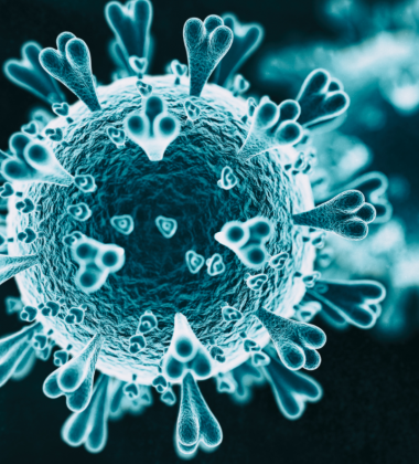 Photo of a virus