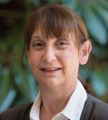 Professor Cathy Lesser Mansfield