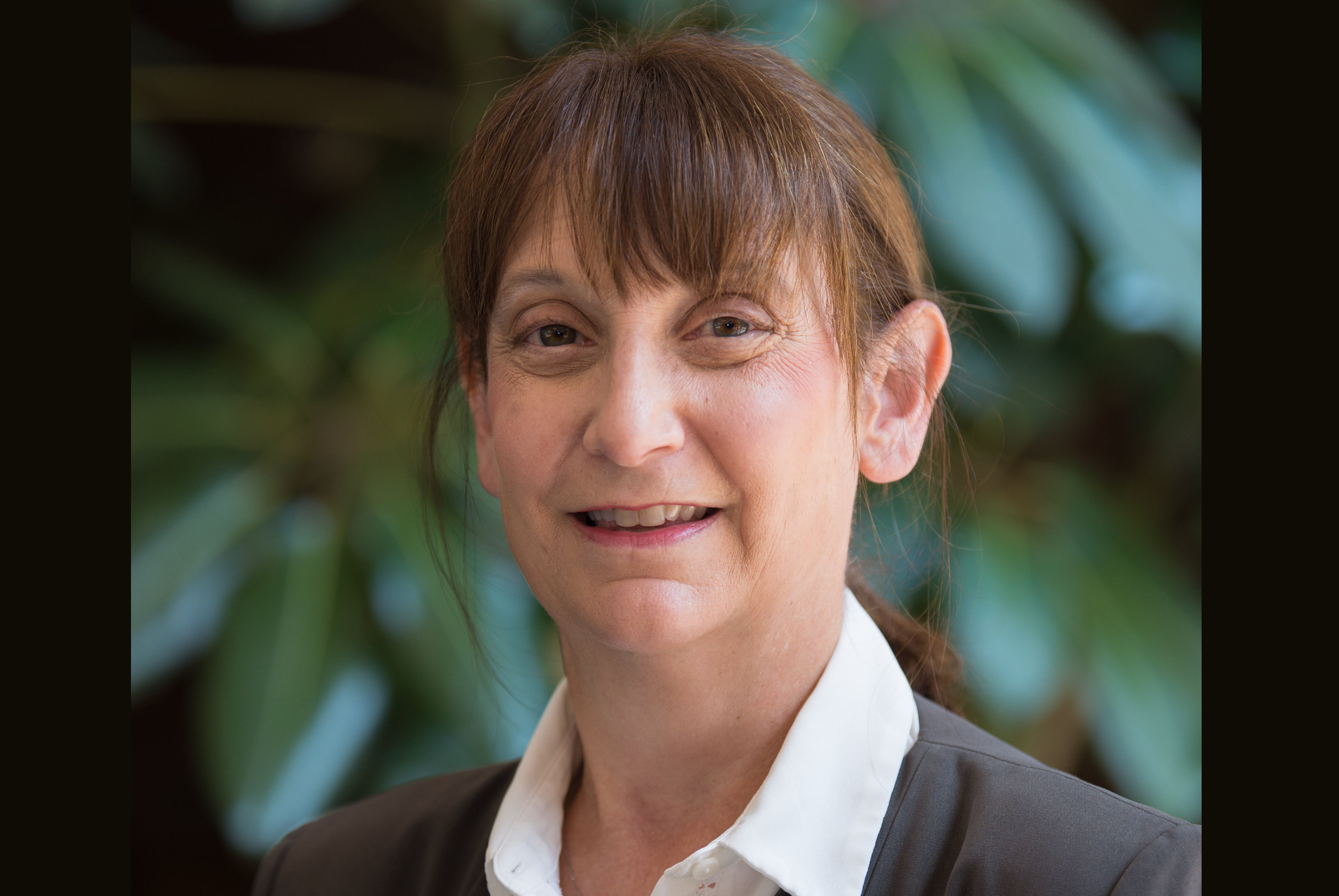 Cwru Staff Directory - pjm89rp