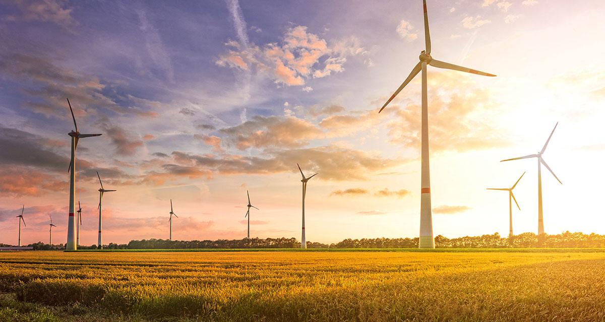 A wind turbine field at sunset