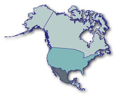 Blue map of North America