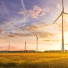 A wind turbine field at sunset