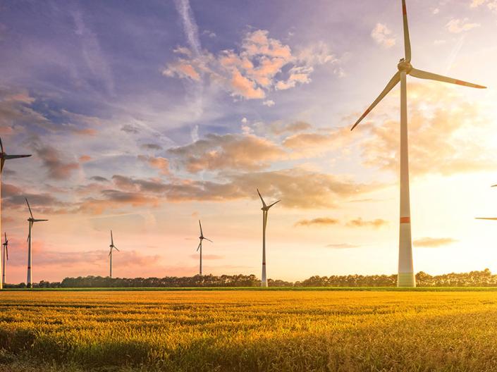 A wind turbine field at sunset