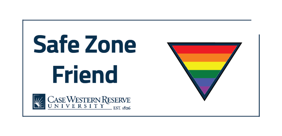 Safe Zone Friend Rainbow Triangle Logo