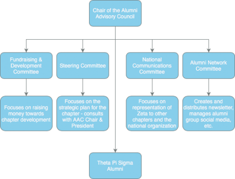 Graphic of council structure, starting with chair, then to the committees and explanations of each committee. The chair then connects to the alumni