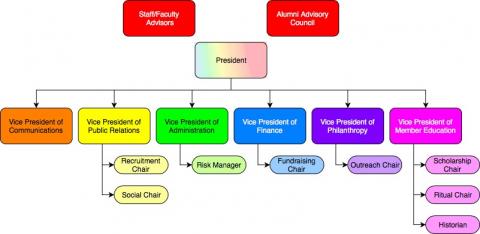 Executive leadership structure, starting with the president to six vice presidents to chairs under each VP. Staff/faculty advisors and alumni council are separate at the top.
