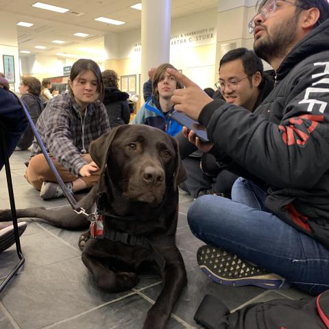 therapy dog with students