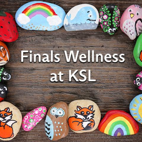 image of painted rocks for wellness program