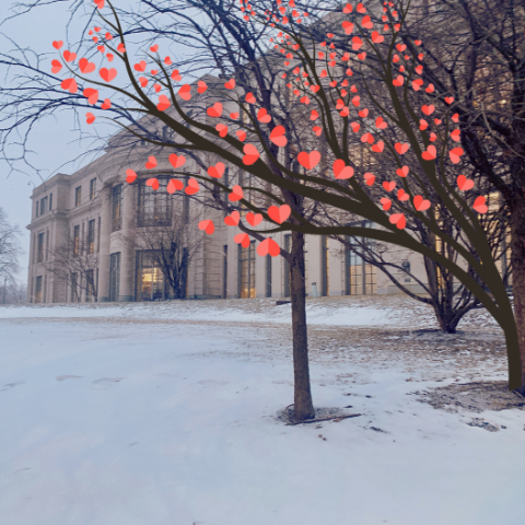 hearts in tree outside of the library