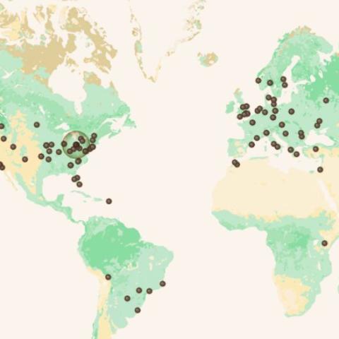 map of the world for open access