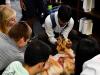 students surrounding a therapy dog