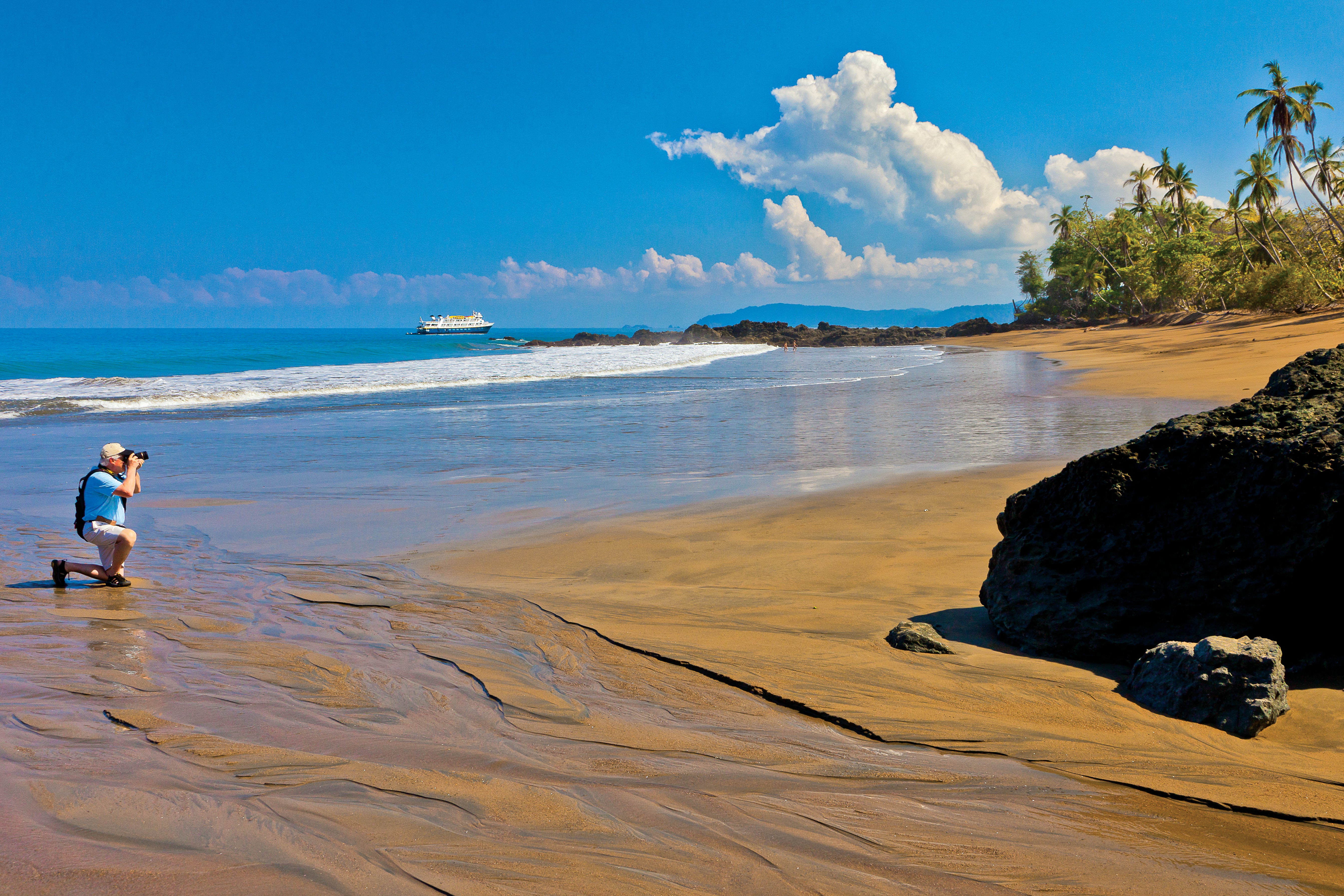 Beach landscape with sand, water, rocks, and trees