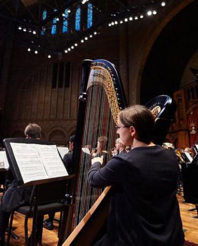 a harp player performing on stage