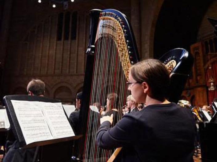 a harp player performing on stage