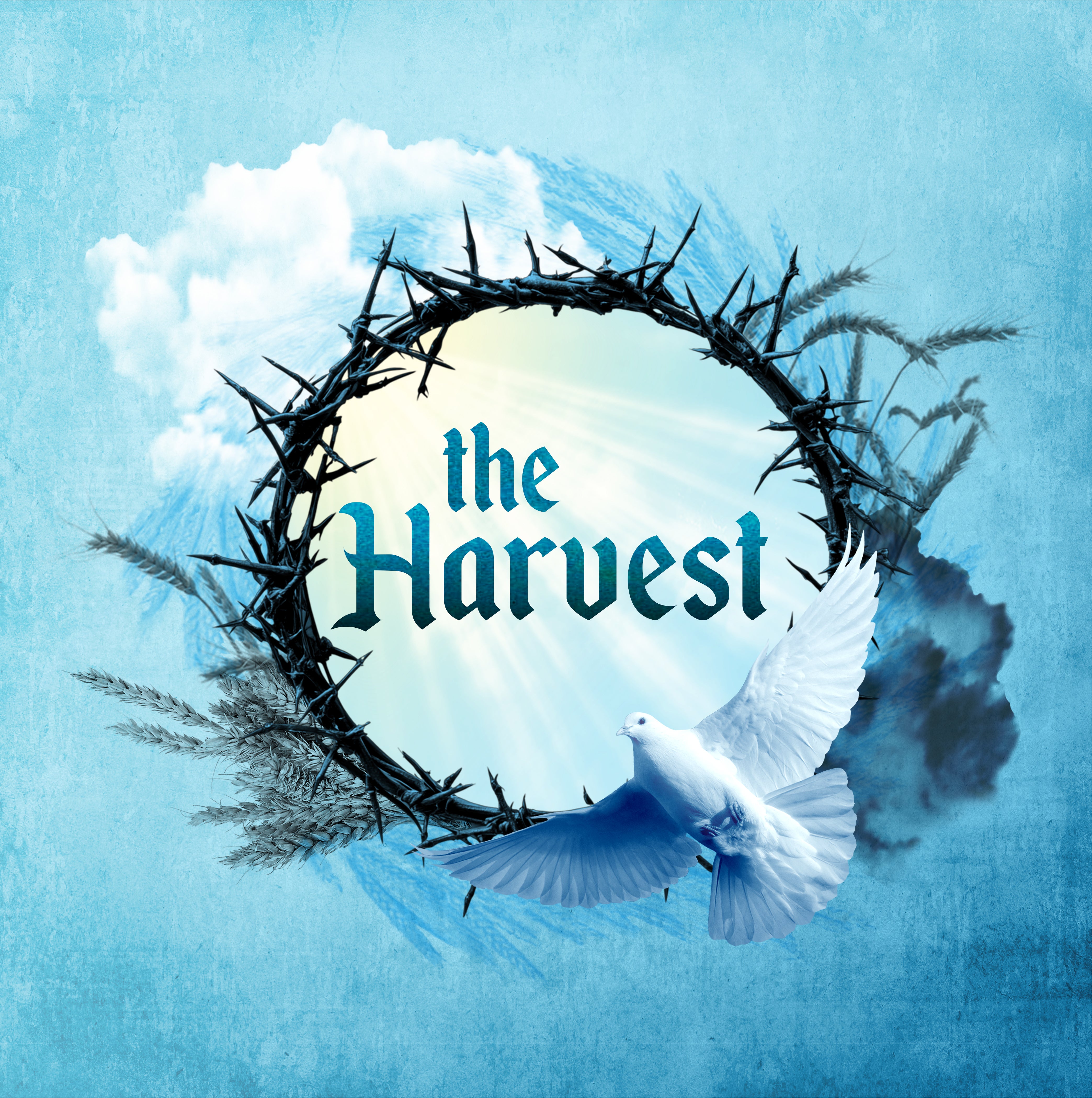 The Harvest