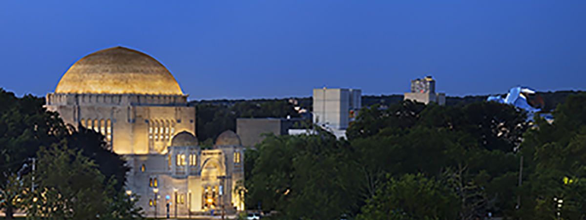 Lit building in the background with trees in the foreground